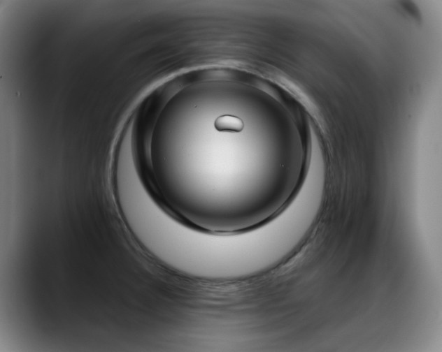 X0000089441332200706151406