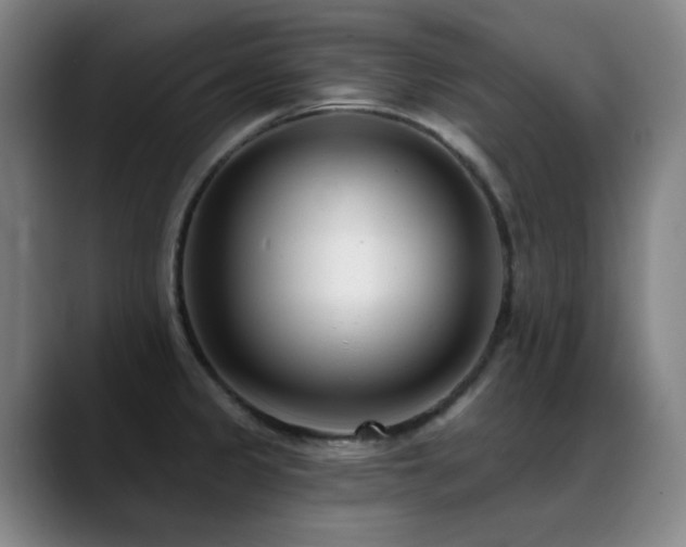 X0000089441333200706151406