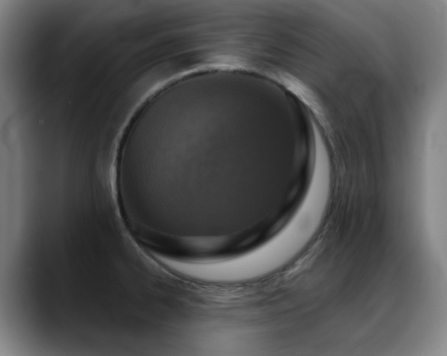 X0000089441334200706151406