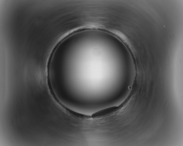 X0000089441335200706151406