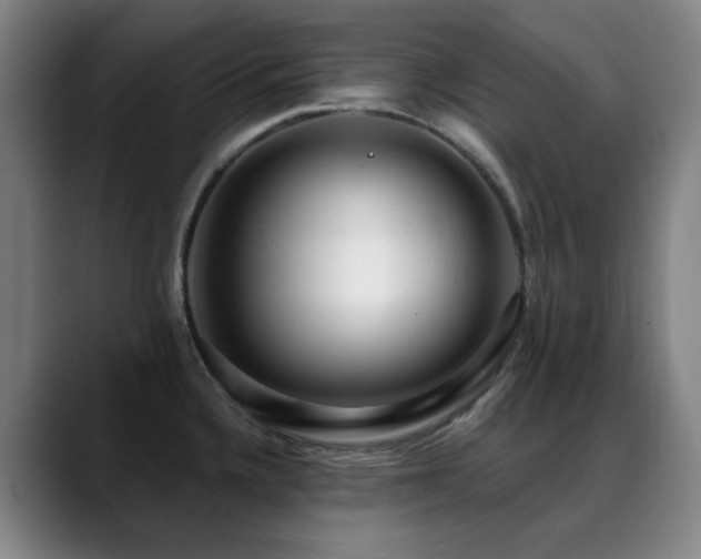 X0000089441336200706151406