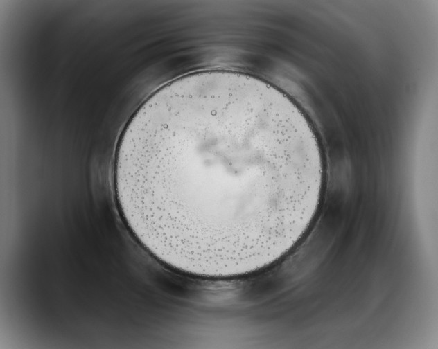 X0000089441338200706151406