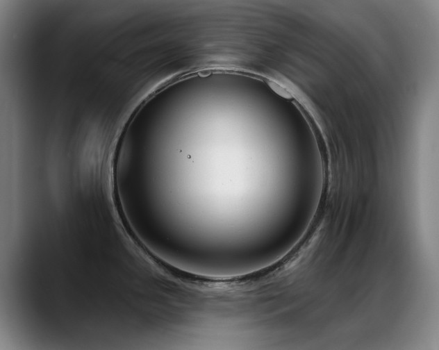 X0000089441341200706151406