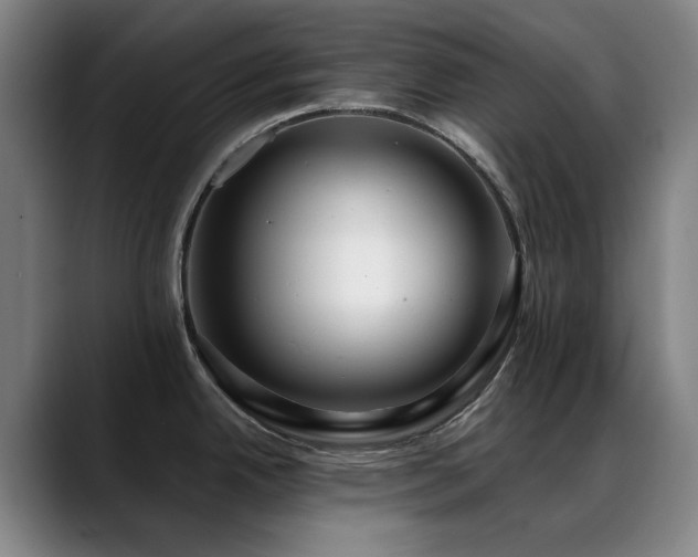 X0000089441342200706151406