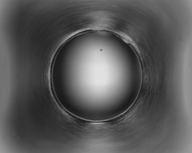 X0000089441343200706151406