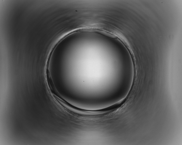 X0000089441344200706151406