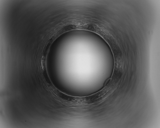X0000089441346200706151406