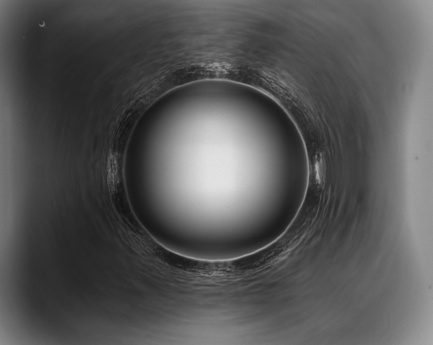 X0000089441347200706151406