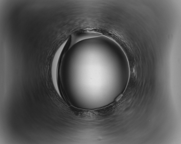 X0000089441348200706151406