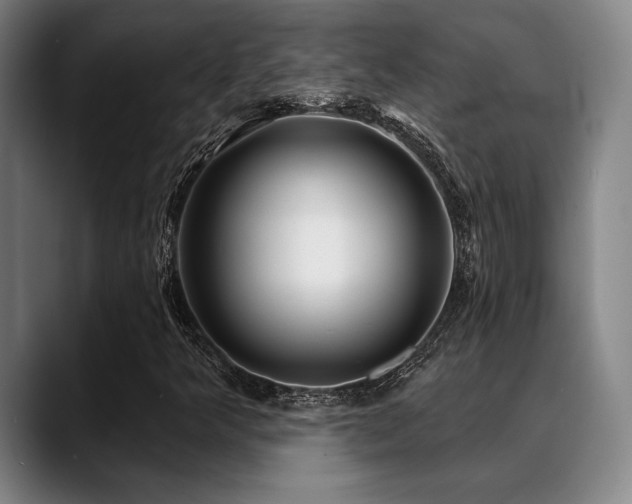 X0000089441349200706151406
