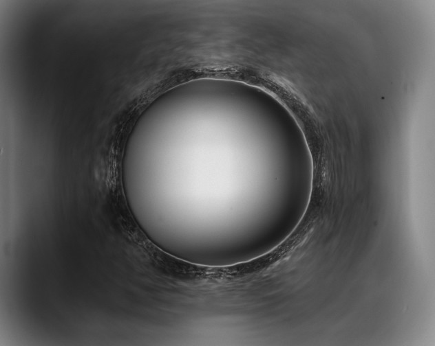 X0000089441350200706151406