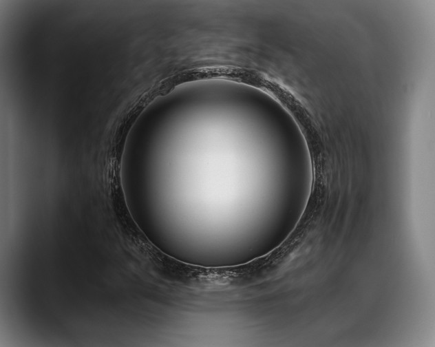 X0000089441351200706151406