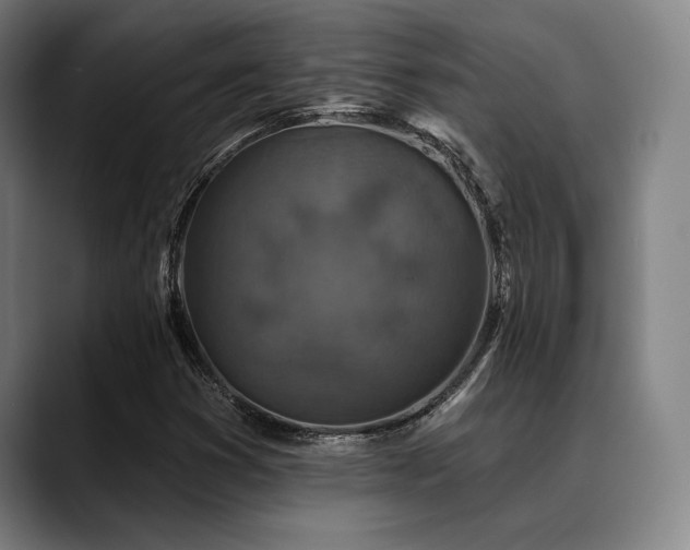 X0000089441353200706151406