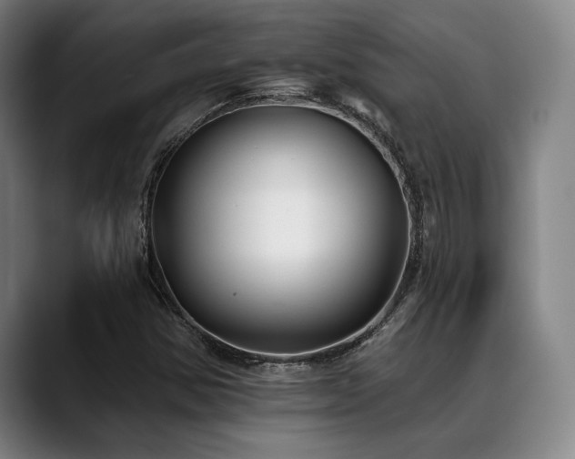 X0000089441354200706151406