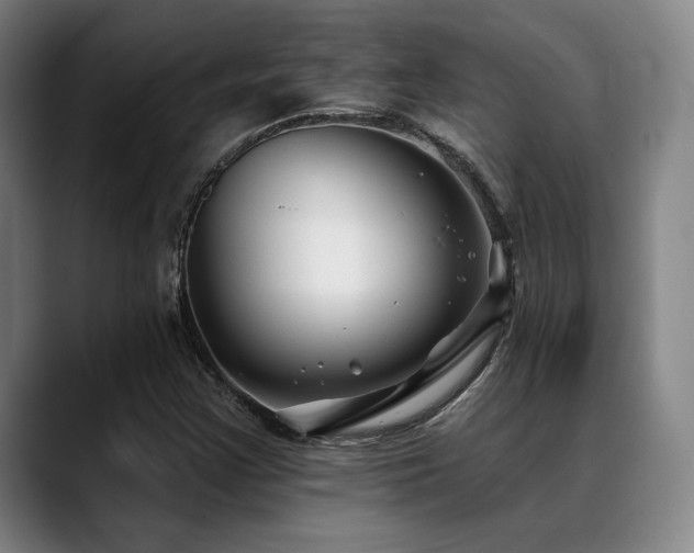 X0000089441355200706151406