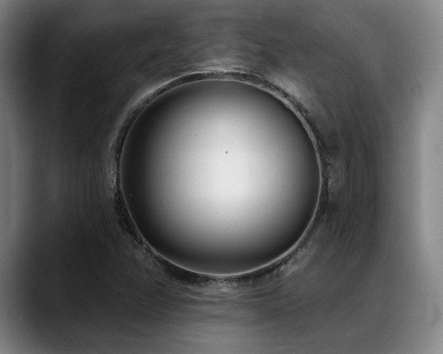 X0000089441358200706151406