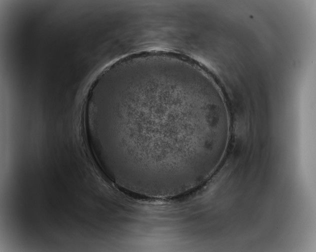 X0000089441359200706151406