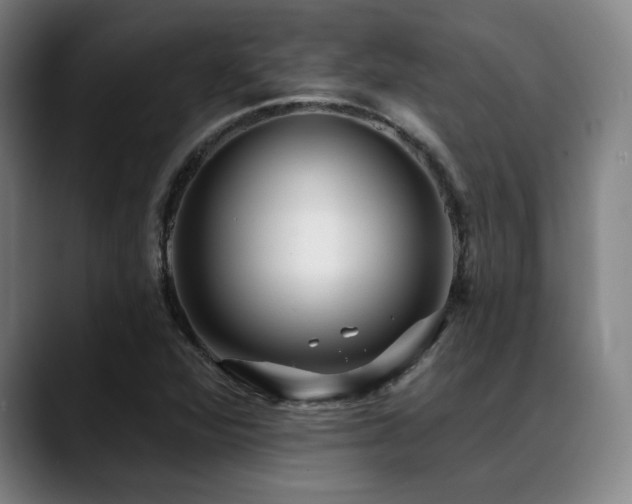 X0000089441360200706151406