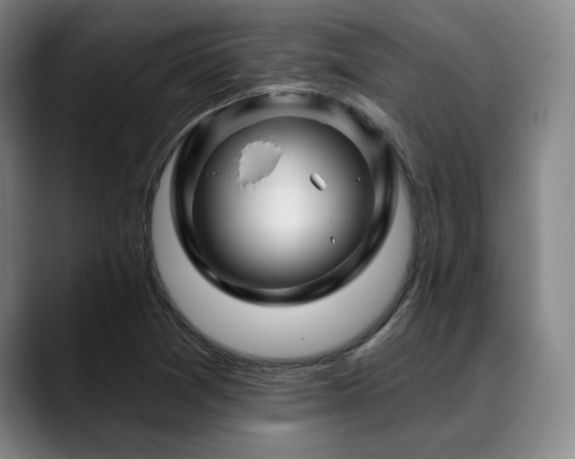 X0000089441361200706151406