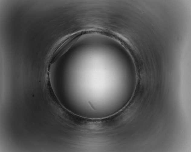 X0000089441363200706151406