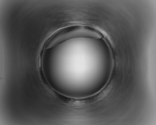 X0000089441365200706151406