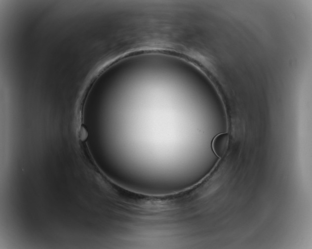 X0000089441366200706151406