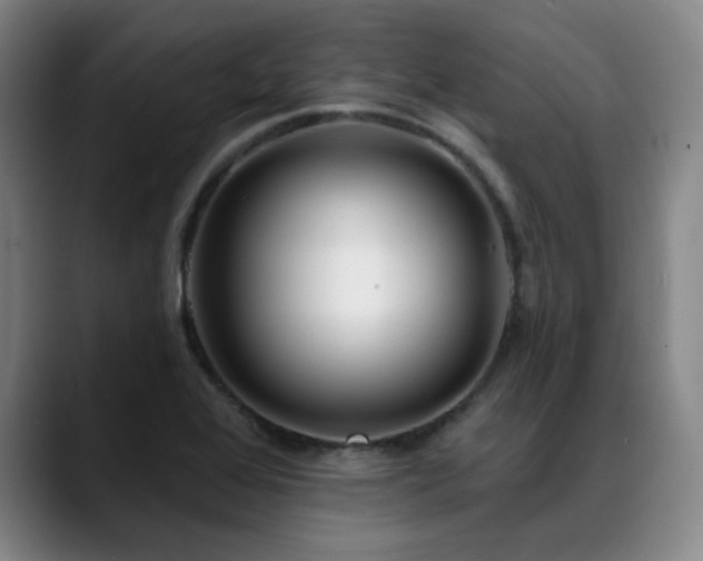 X0000089441368200706151406