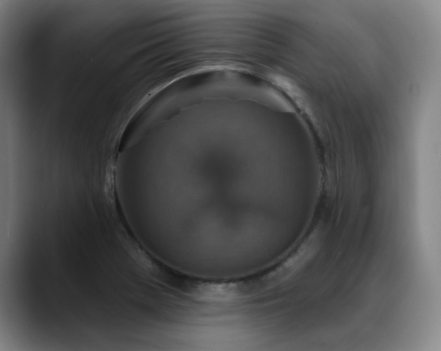 X0000089441369200706151406