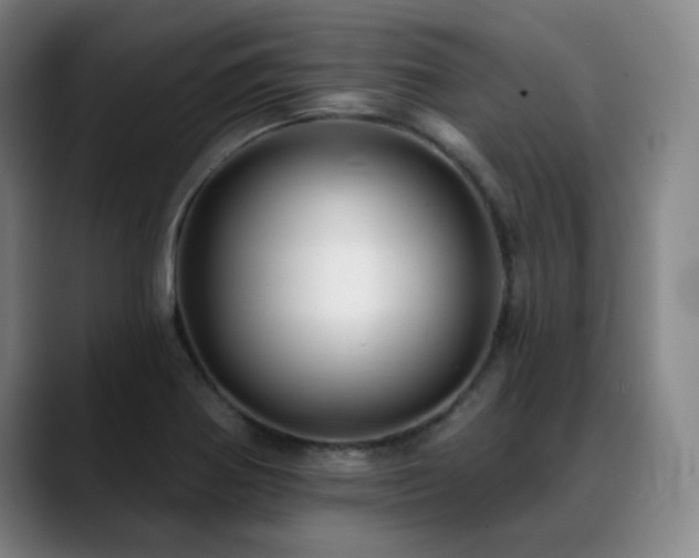 X0000089441370200706151406