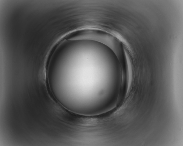 X0000089441372200706151406