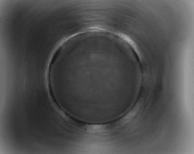 X0000089441373200706151406