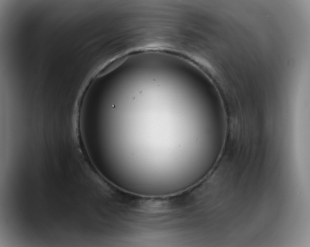 X0000089441374200706151406