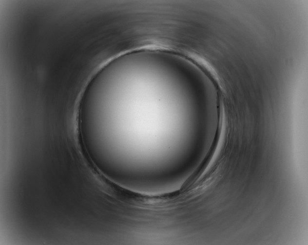 X0000089441375200706151406