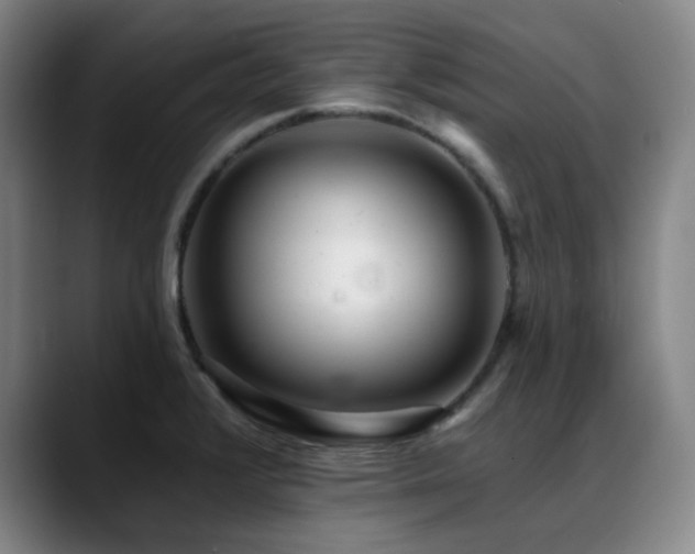 X0000089441376200706151406