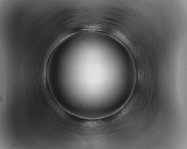 X0000089441378200706151406