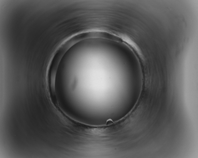 X0000089441380200706151405