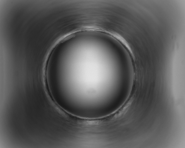 X0000089441381200706151405