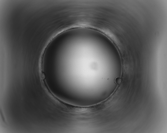 X0000089441382200706151405