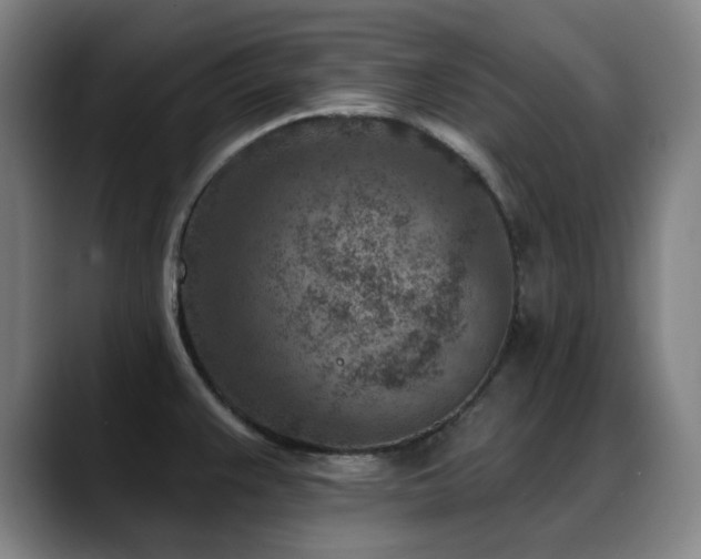X0000089441383200706151405
