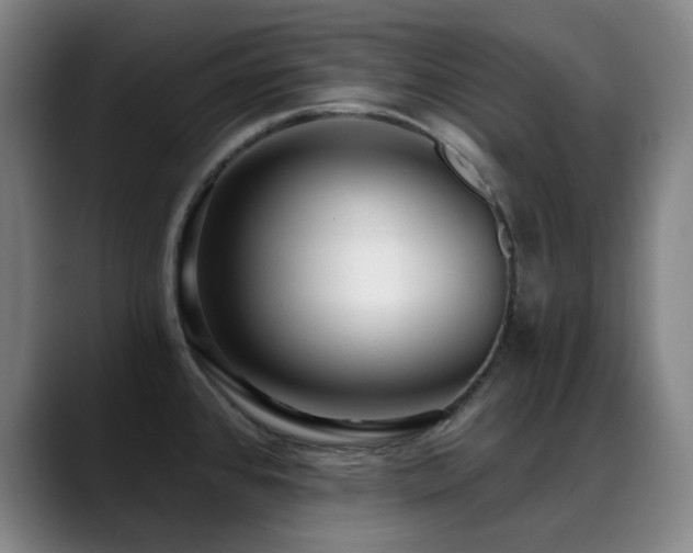 X0000089441384200706151405