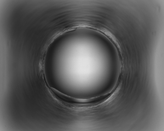 X0000089441385200706151405