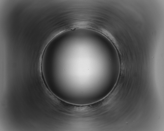 X0000089441386200706151405