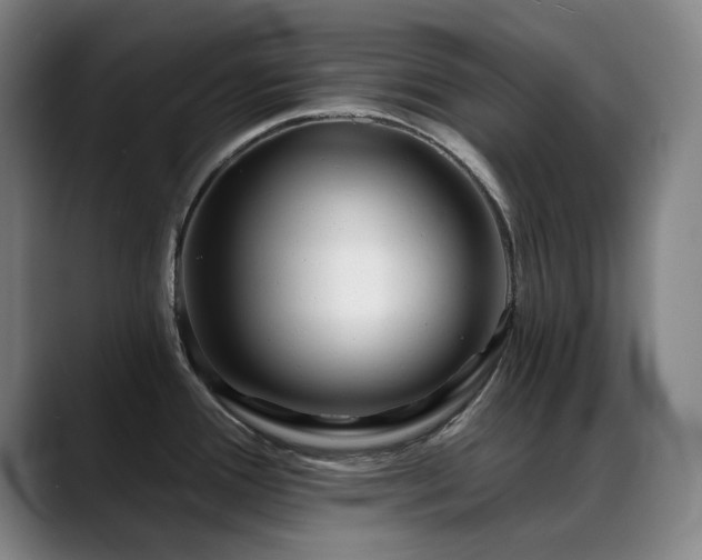 X0000089441388200706151405