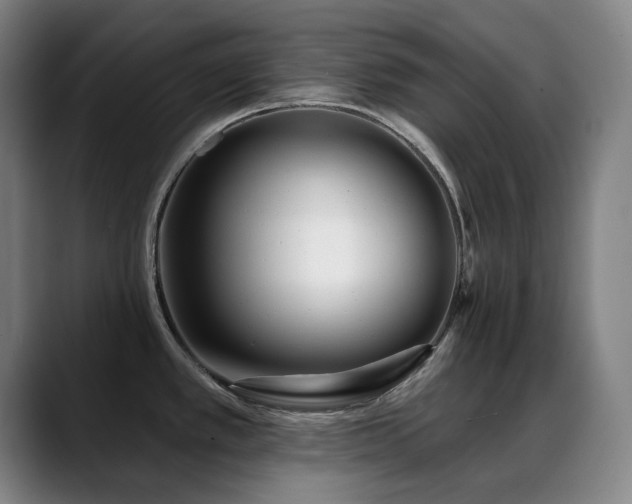 X0000089441389200706151405