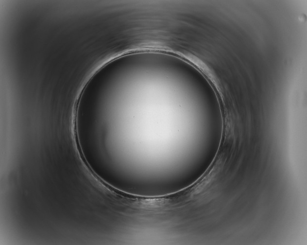 X0000089441390200706151405