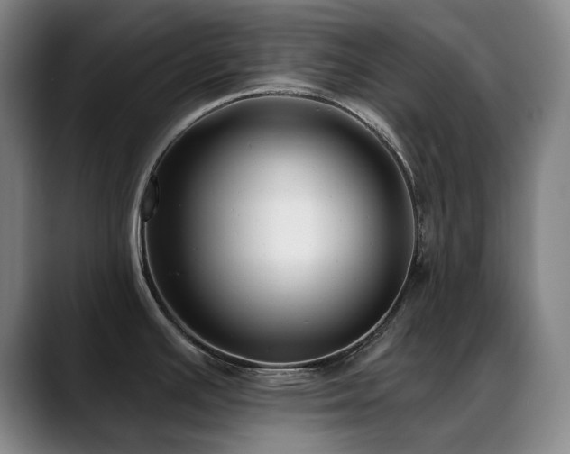 X0000089441391200706151405