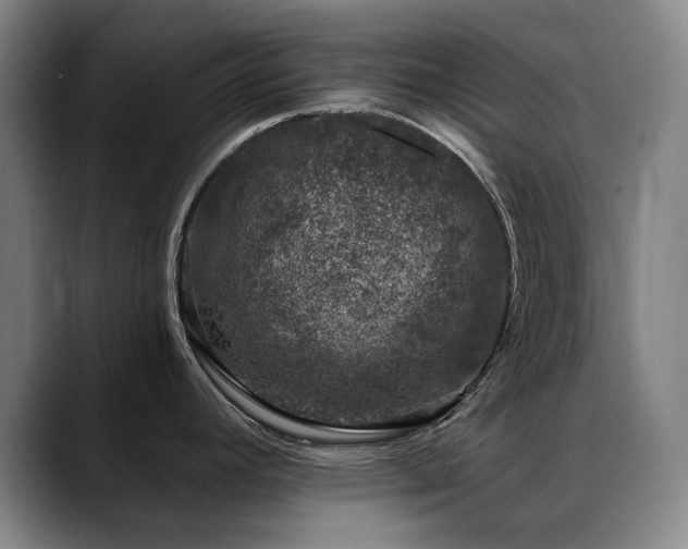 X0000089441392200706151405