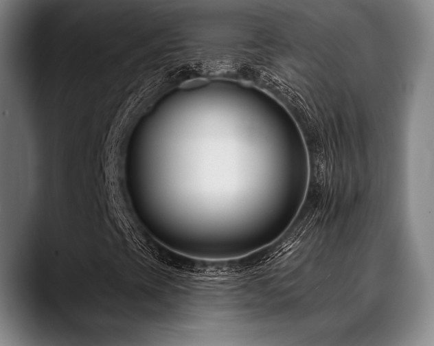 X0000089441393200706151405