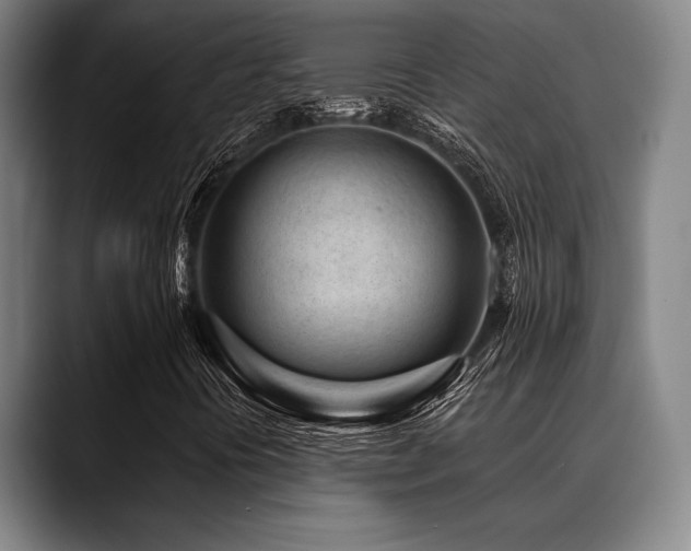 X0000089441394200706151405