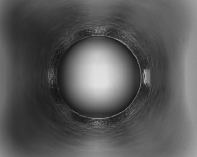 X0000089441395200706151405